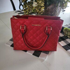 Aldo Purse